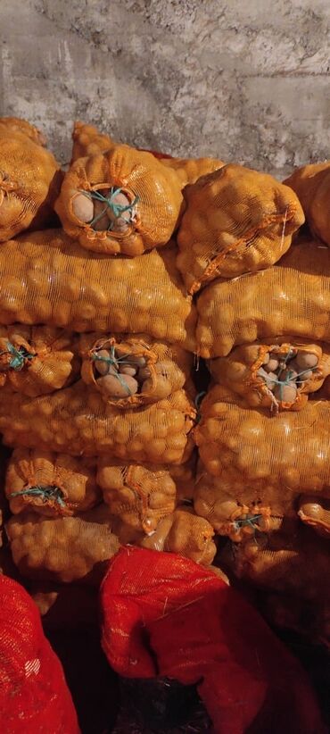 Продукты питания: Картошка элита Пикассо 2022 год есть 30 тонн в хранилище с поля цена