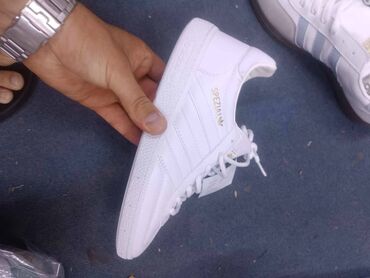 Patike: Adidas spezial patike

Novo
Brojevi 36 do 40

fb Moja Kupovina 1 — 2