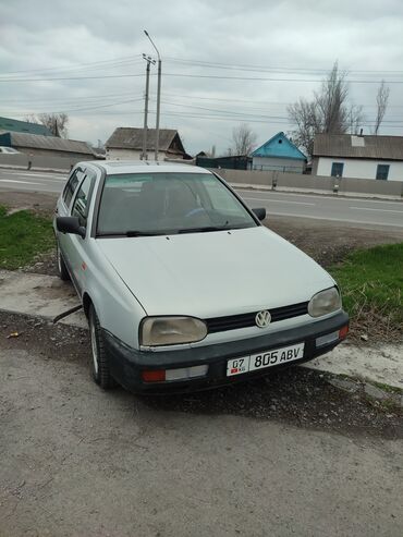 Volkswagen: Volkswagen Golf: 1994 г., 1.6 л, Механика, Бензин, Хетчбек