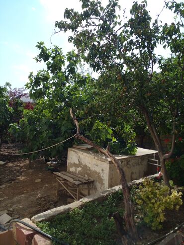 Həyət evləri və villaların satışı: 9 otaq, 308 kv. m, Kredit yoxdur, Orta təmir -da lalafo.az — 13 Həyət evləri və villaların satışı: 9 otaq, 308 kv. m, Kredit yoxdur, Orta təmir — 13