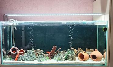 akvarium qiymetleri: Dördbucaq akvarium, Balıqlarla birlikdə, 180 l, Ünvandan götürmə — 1