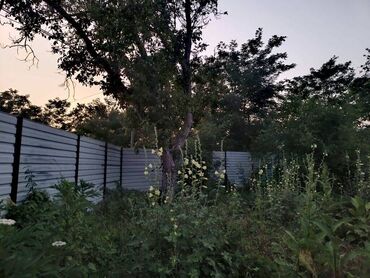 vishnevka torpaq: 25 sot, Biznes üçün, Mülkiyyətçi, Kupça (Çıxarış)