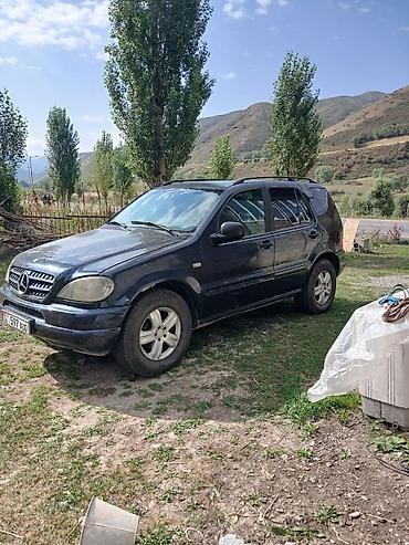 daewoo nexsia: Mercedes-Benz ML-Class: 1998 г., 3.2 л, Автомат, Бензин, Кроссовер — 4