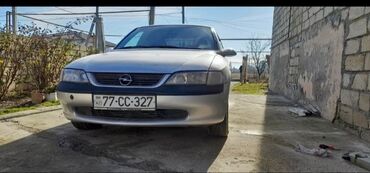запчасти на опель вектра: Opel Vectra: 1.6 l | 1998 il Sedan