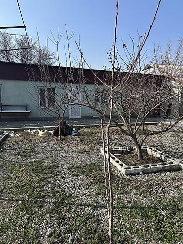 Продажа дач: Продаю дом с красной книгой и со всеми документами придомовой — 20