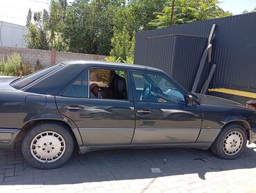 Mercedes-Benz: Mercedes-Benz W124: 1995 г., 3 л, Автомат, Дизель, Седан — 9