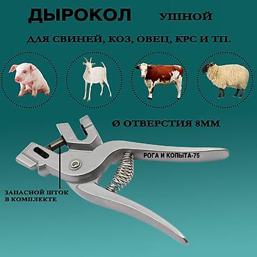 портативный узи аппарат для животных: Щипцы дырокол ушной для животных Ветеринарный инструмент - ушные — 3