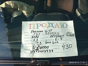 бензин муравей: Toyota Ist: 2002 г., 1.3 л, Автомат, Газ, Хэтчбэк — 6