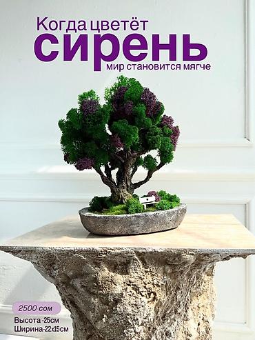 Другой декор и предметы интерьера: Декоративное дерево бонсай, выполненное из стабилизированного мха — 32