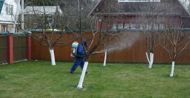 услуги чистки дымохода: Обработка сада от вредителей Обработка от различных болезней