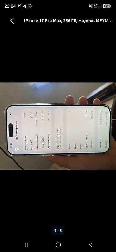 macbook pro 2019: IPhone 17 Pro Max, 256 ГБ (на экране «Об этом устройстве»: модель — 2