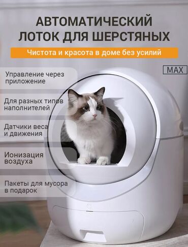 пит: Автоматический туалет для кошек Красивый и умный туалет для кошек не