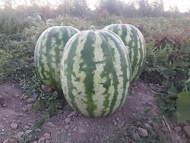 Удобрения и садовая химия: Удобрение — 8