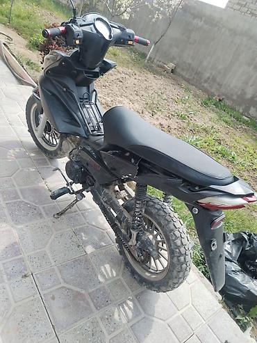 paneler: Barter var ÖZ DƏYƏRİNDƏ XİRDA BUYNUZLU HEYVANLAVA DİGƏR MARAGLİ — 5