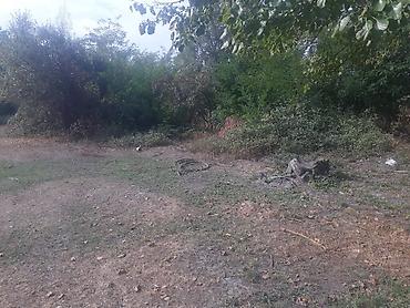 Torpaq sahələrinin satışı: 40 sot, Tikinti, Mülkiyyətçi, Kupça (Çıxarış) — 14