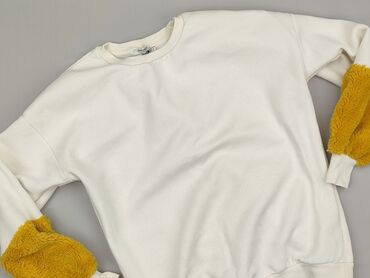 bluza z piórami: Bershka, Women`s sweatshirt, S (EU 36)
