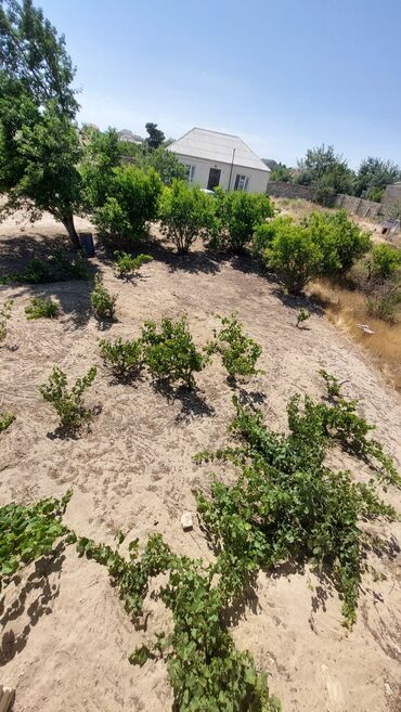 Torpaq sahələrinin satışı: 12 sot, Tikinti, Maklerlər narahat etməsin, Kupça (Çıxarış) — 9