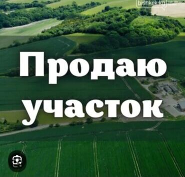 выкуп участка: 1900 соток, Для бизнеса, Тех паспорт