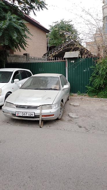Honda Accord: 1996 г., Автомат, Бензин, Седан