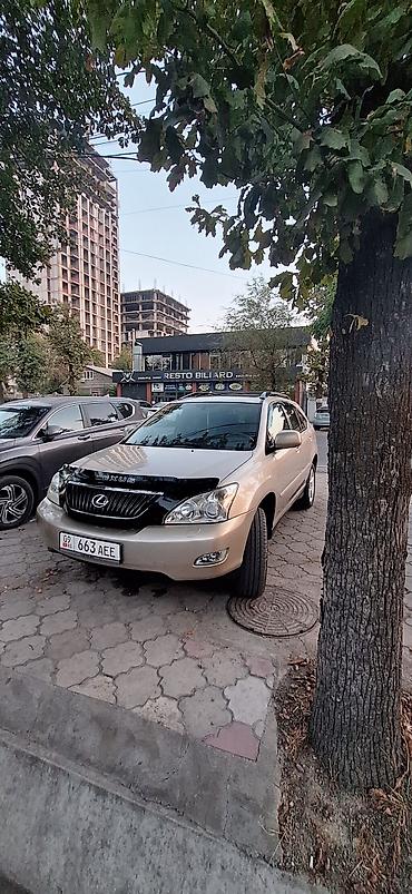 Lexus: Lexus RX: 2004 г., 3.3 л, Автомат, Бензин, Кроссовер — 2