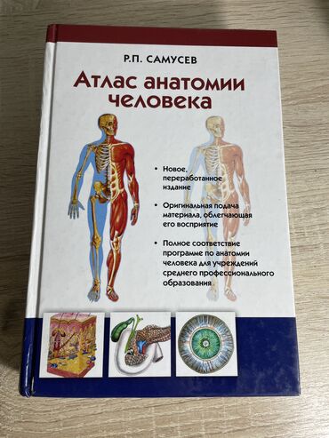 валик для спины цена: Книга «Атлас анатомии человека» Автор:Р.П. Самуев Книга в почти