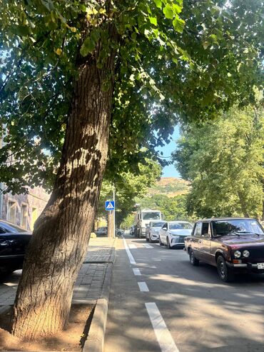 Kirayə torpaq sahələri: 13 sot İşıq — 30