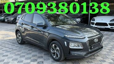купить машину хендай солярис: Hyundai Kona: 2019 г., 1.6 л, Автомат, Гибрид, Внедорожник