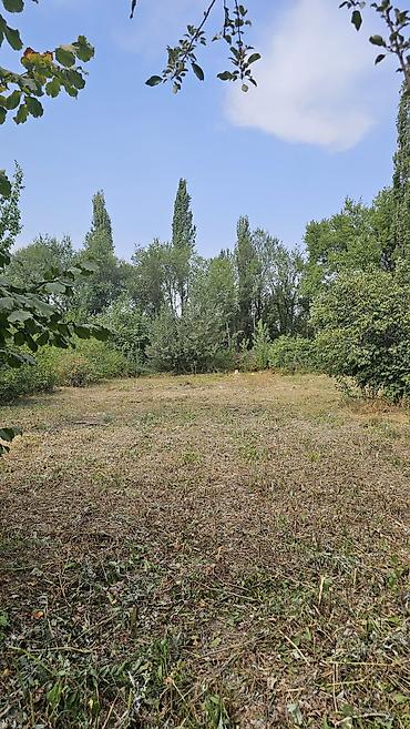 Продажа времянок: Продаю времянку с участком 16 соток (21,75 м на 74 м) в селе — 7