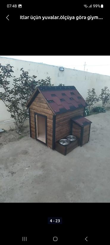 ev goyercinleri: Taxta it evi — 1