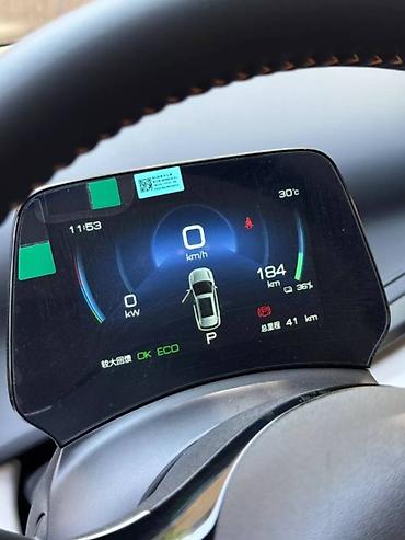 BYD: BYD : 2024 г., Электромобиль, Кроссовер — 15