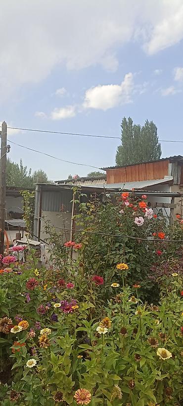 Үйлөр: Продам дом, в доме 3 комнаты, летняя кухня, хоз постройки, вода — 4