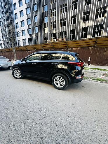 spark 2016: Kia Sportage: 2018 г., 2.4 л, Автомат, Бензин, Кроссовер — 4