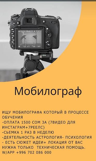 Фотограф, видеооператор