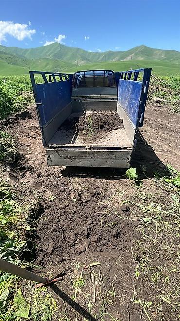 на камерный свет: В тоннах, Платная доставка, Портер, Зил, Камаз — 2