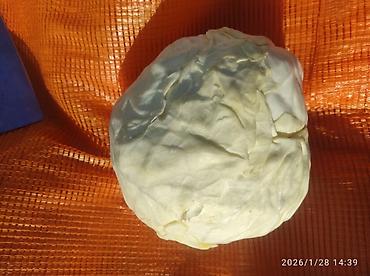 Капуста: Капуста Белокачанная — 8