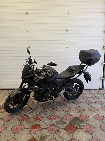 мт 03: Naked Yamaha, 320 куб. см, Бензин, Взрослый, Б/у — 1