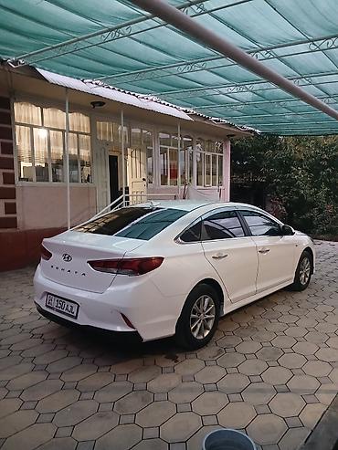 lexus is 350: Hyundai Sonata: 2020 г., 2 л, Автомат, Газ, Седан — 2