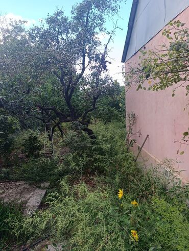 Həyət evləri və villaların satışı: 4 otaqlı, 11000 kv. m, Kredit yoxdur, Orta təmir — 17