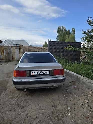боз белер: Audi 100: 1991 г., 2.3 л, Кол менен иштөөчү, Бензин, Седан — 4
