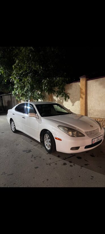 компрессионные гольфы: Toyota Windom: 2003 г., 3 л, Автомат, Бензин, Седан
