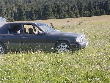 Продажа авто: Mercedes-Benz W124: 1990 г., 2.9 л, Механика, Дизель, Седан — 5