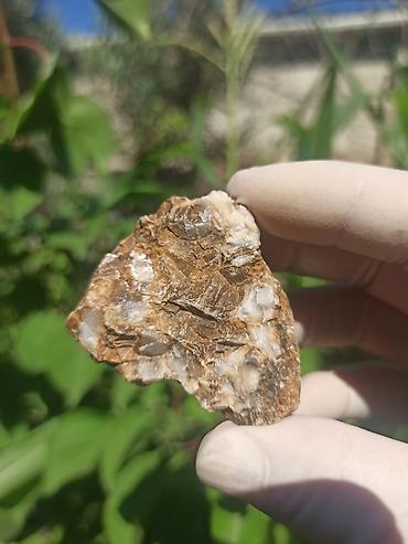 cib saatı: Milyon İllik Tarixi Fosil 💎 Daşlaşmış Ağac ( Petrified Wood ) 🪵 ✨ Bu — 10