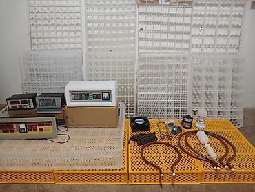 İnkubatorlar: Hər növ inkubator beyinlərinin təmiri Çıxışı zəif inkubatorlara — 8