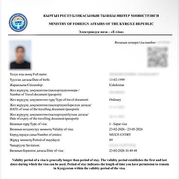 Туристические услуги: Визы в Кыргызстан, США, Японию и Шенген. Помогаю с оформлением виз в — 13