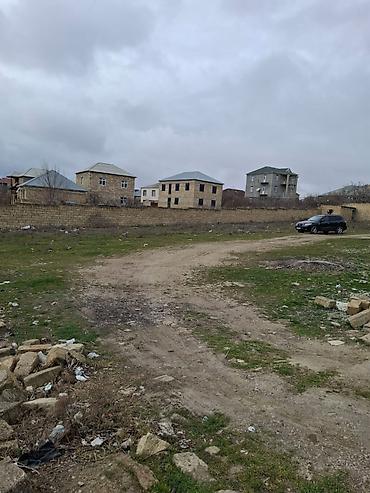 sarayda torpag: 22 sot, Kənd təsərrüfatı, Mülkiyyətçi, Kupça (Çıxarış) — 7