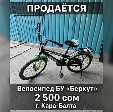 Подростковые велосипеды: Велосипед Berkut (детский/подростковый) - Тип: городской/прогулочный — 1