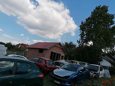 baterijski: DIZNE ZA PEUGEOT 206 | Delovi Peugeot 206 i otkup vozila za delove — 4