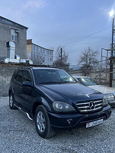 Mercedes-Benz: Mercedes-Benz ML-Class: 2002 г., 4 л, Автомат, Дизель, Кроссовер — 10
