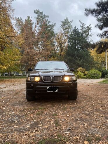 привозной: BMW X5: 2003 г., 4.4 л, Автомат, Бензин, Внедорожник