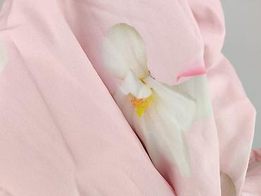 denny rose: Bluzka damska, rozmiar 3XL — 5